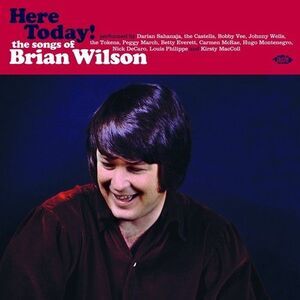 Various Artists - Here Today! Songs Of Brian Wilson / Various  LP LP